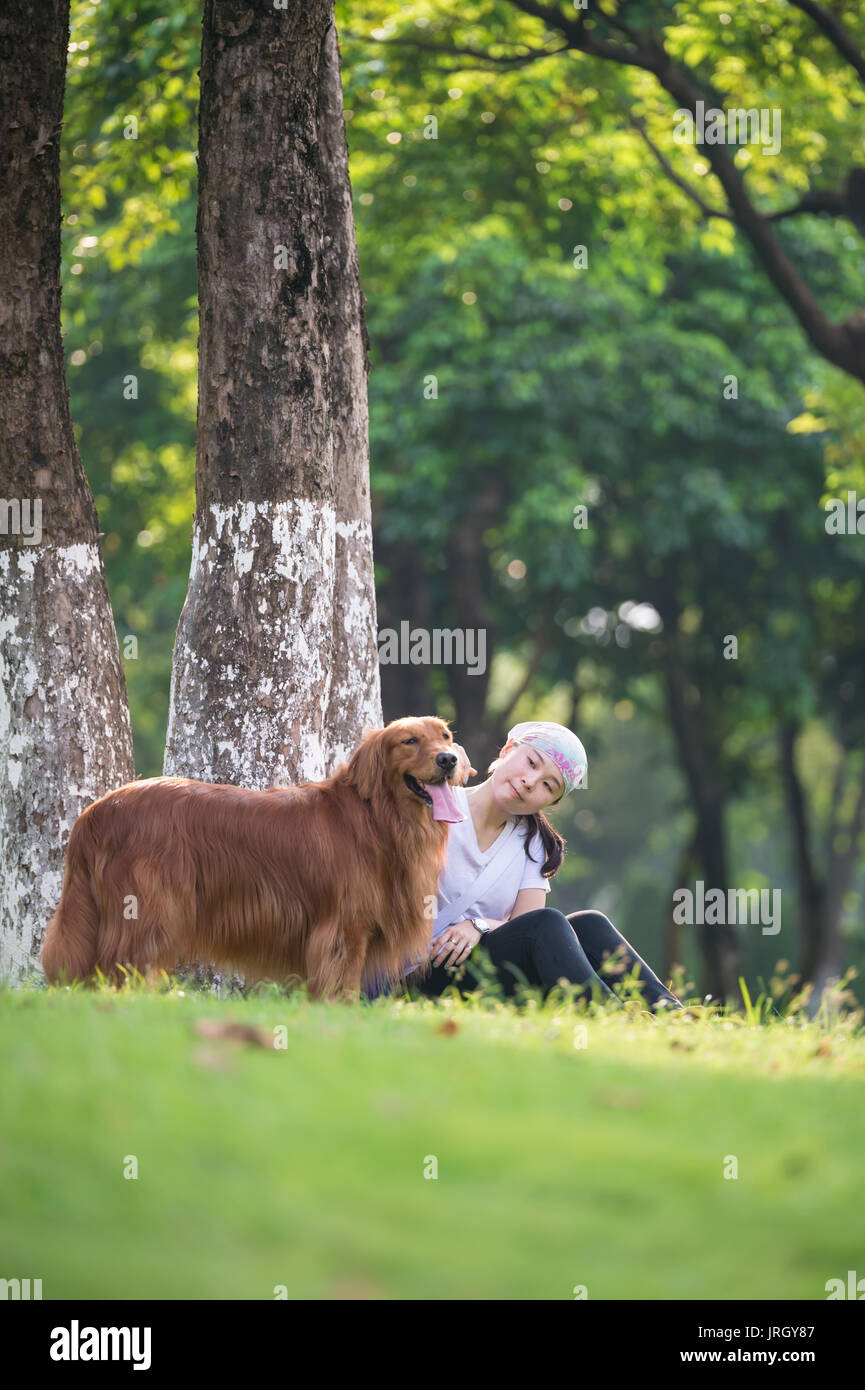 Girl and Golden Retriever playing in the grass Stock Photo - Alamy