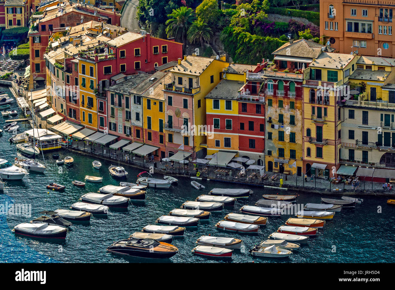 Italy Liguria Mount of Portofino Park - Portofino Colorated House facing the bay Stock Photo