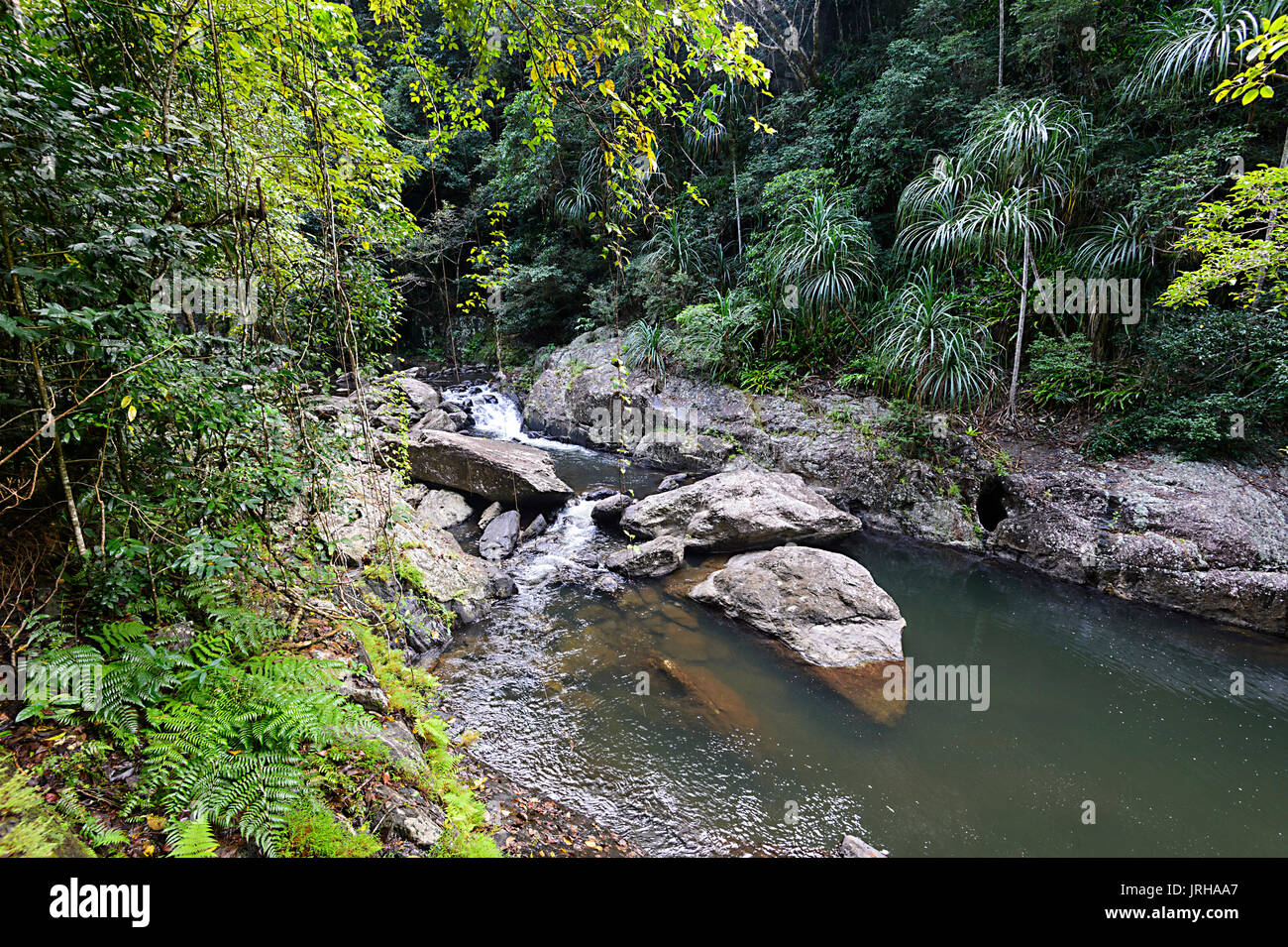Crystal Cascades, Cairns, Far North Queensland, FNQ, QLD, Australia Stock Photo