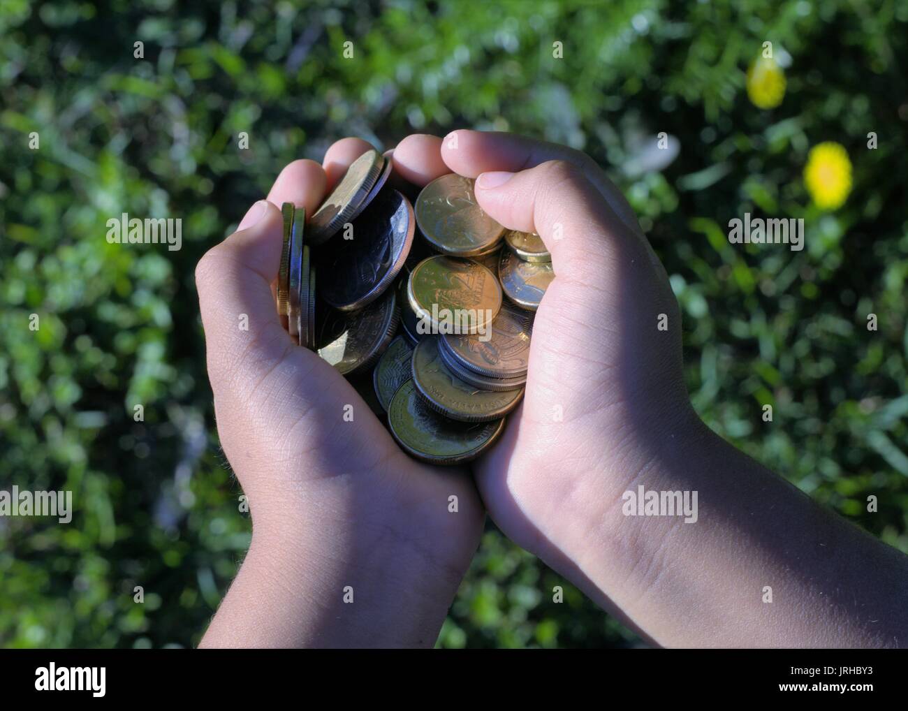 Two hands full of money. Kid's hands are full of Australian money Stock Photo