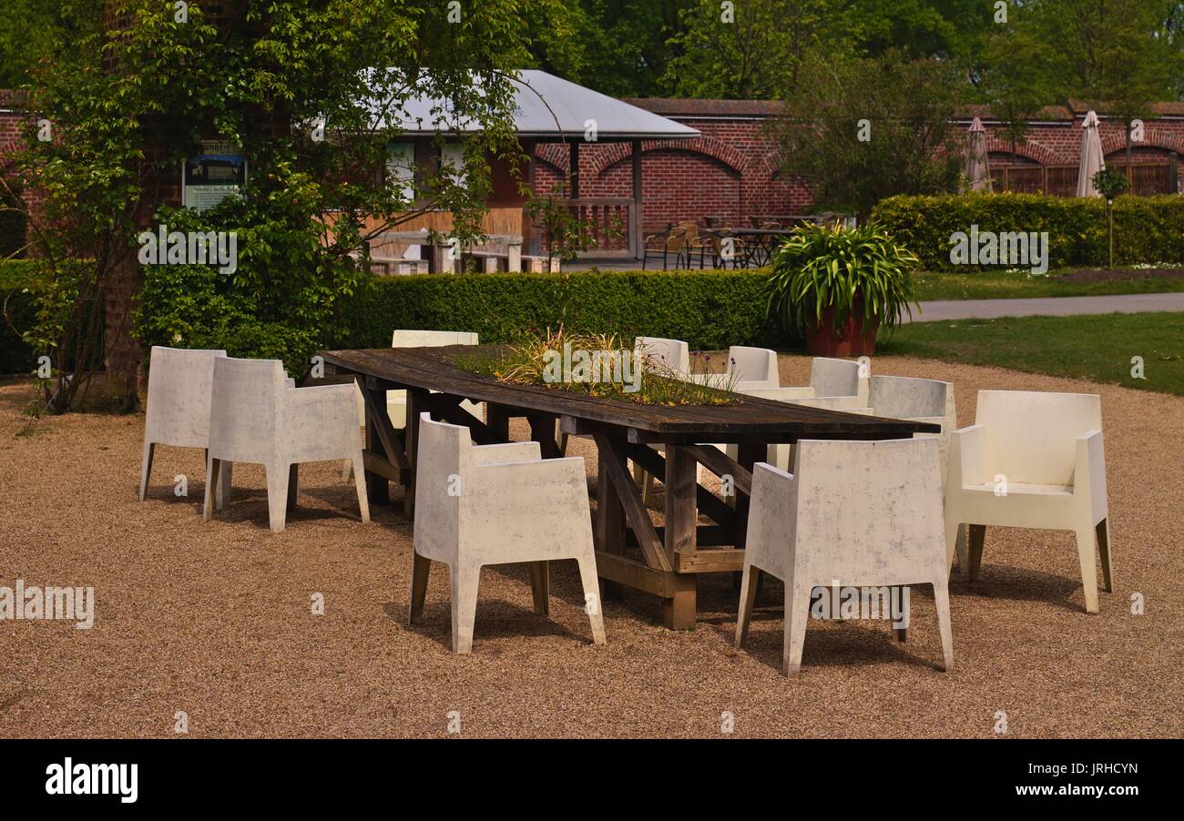 Plantation plants in centre of the table center hi-res stock ...