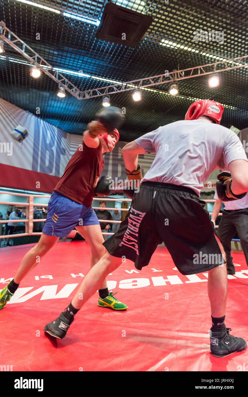 Boxing workout training Stock Photo Alamy