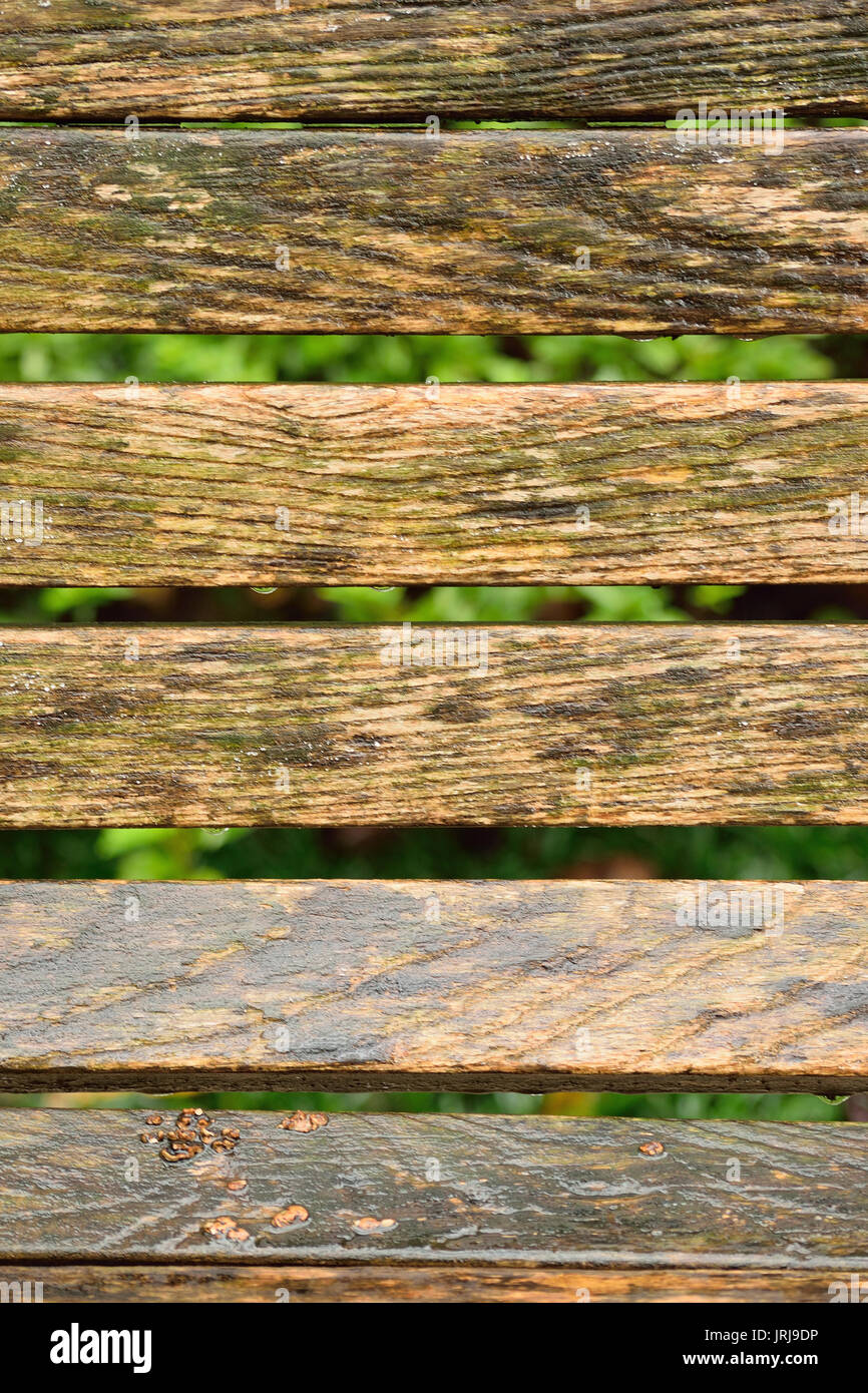 Background Texture Old Wooden bench Stock Photo - Alamy