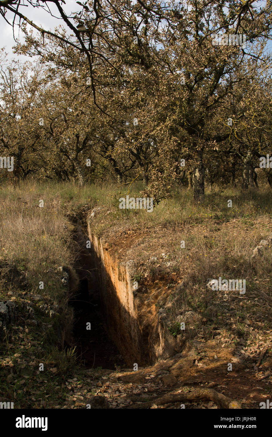 The nekropolis of Armeni was a late Minoan cemetery in an oak tree forest in the mountains of Crete with over 230 chamber tombs dug in limestone. Stock Photo