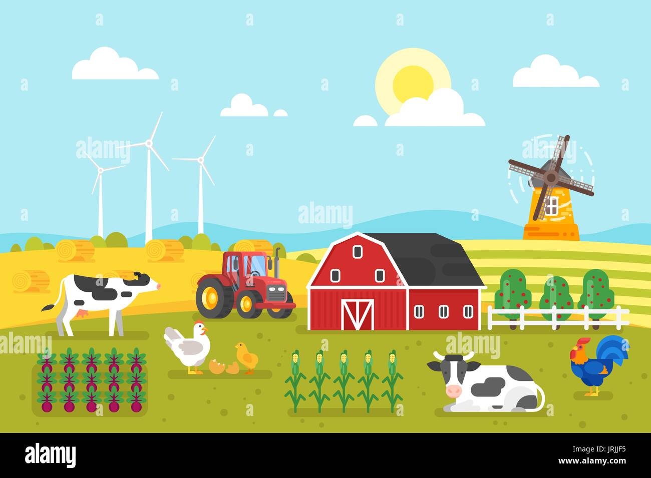 Vector flat style illustration of farm with cows and chicken. Background for poster. Wheat field in good sunny day. Stock Vector