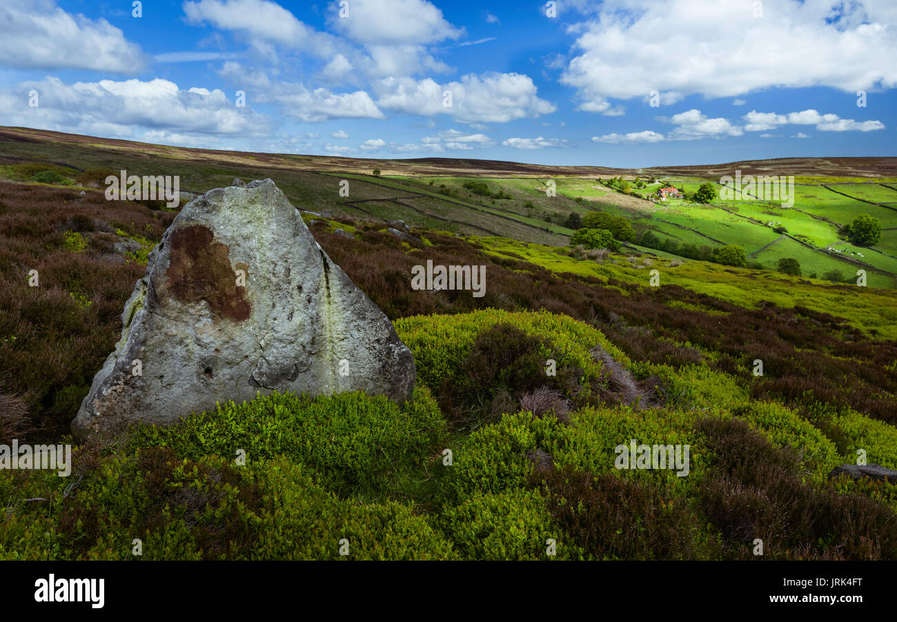 North York Moors overlooking the dale with fields, farmland, trees, and heather  under a bright cloudy sky near Glaisdale, Yorkshire, UK. Stock Photo