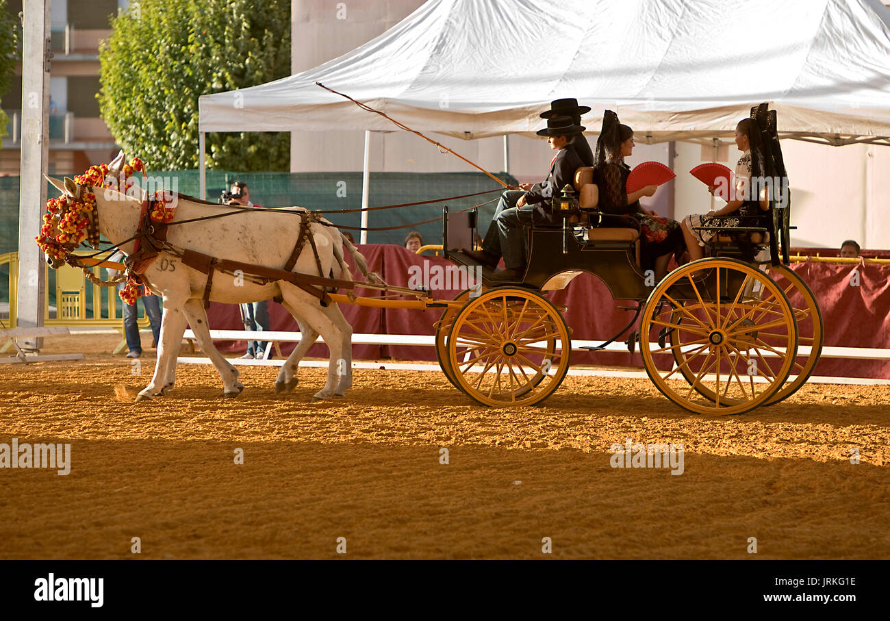 Vehicle pulled by an animal hi-res stock photography and images - Alamy Vehicle pulled by an animal hi-res stock photography and images - Alamy