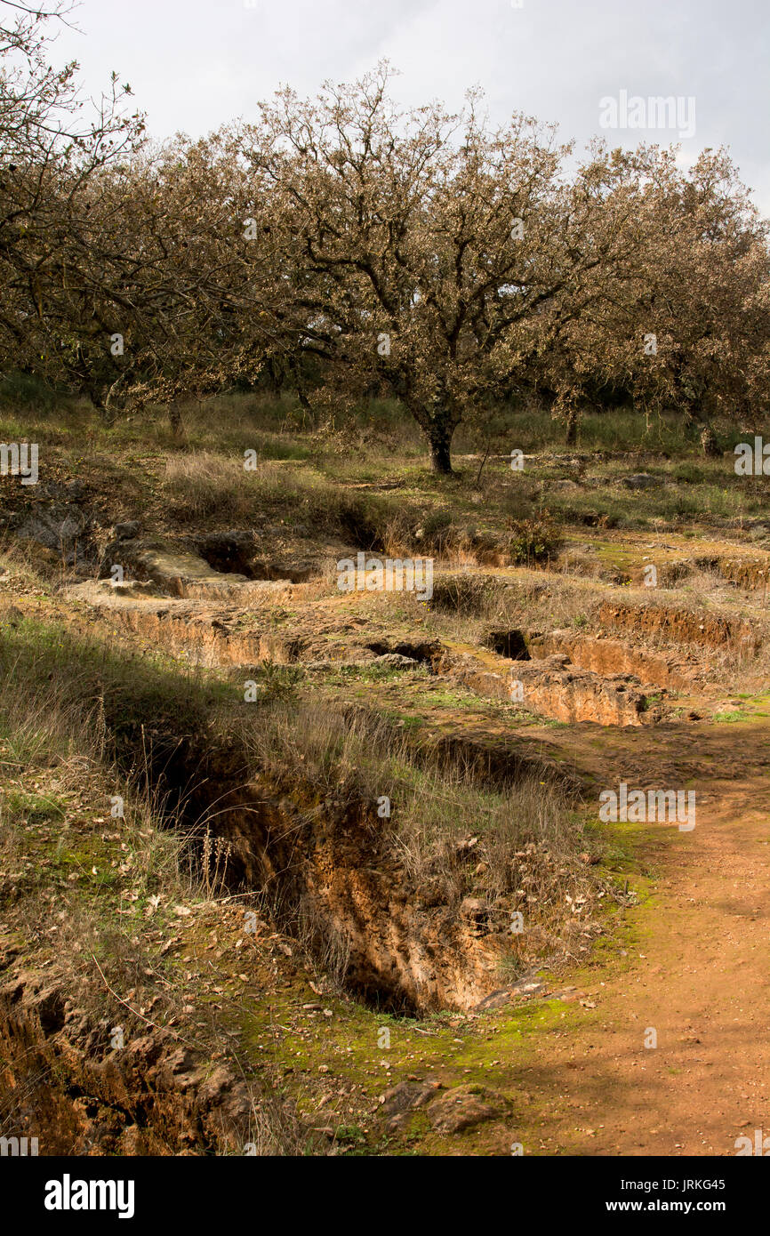 The nekropolis of Armeni was a late Minoan cemetery in an oak tree forest in the mountains of Crete with over 230 chamber tombs dug in limestone. Stock Photo
