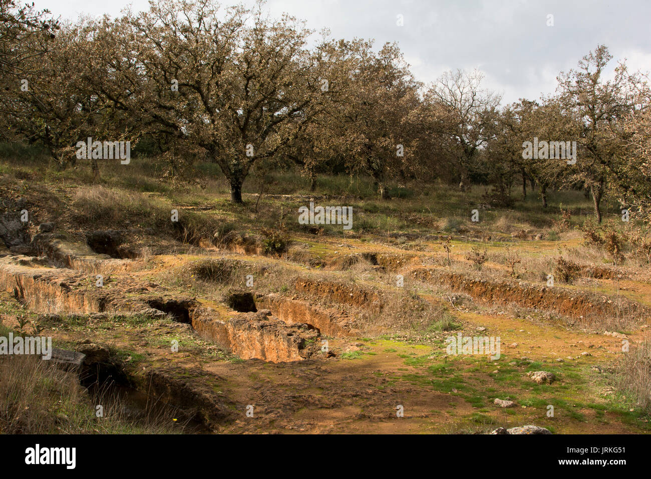 The nekropolis of Armeni was a late Minoan cemetery in an oak tree forest in the mountains of Crete with over 230 chamber tombs dug in limestone. Stock Photo