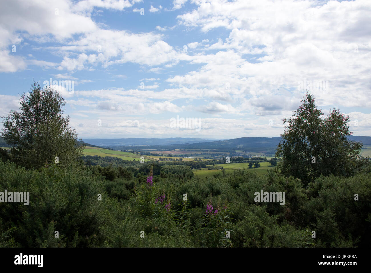 View from Kinellan viewpoint, Scotland Stock Photo