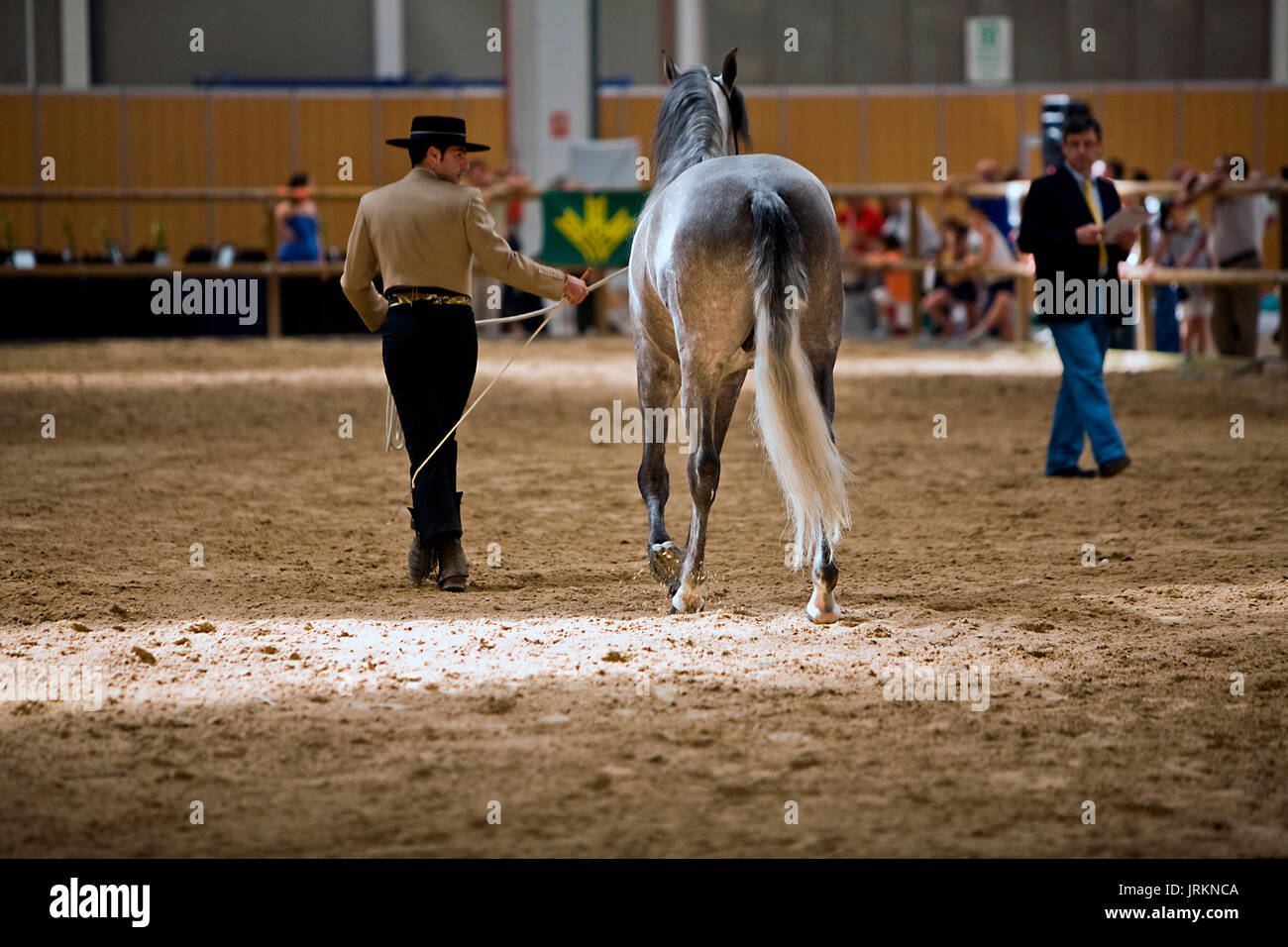 Equestrian test of morphology to pure Spanish horses, Spain Stock Photo