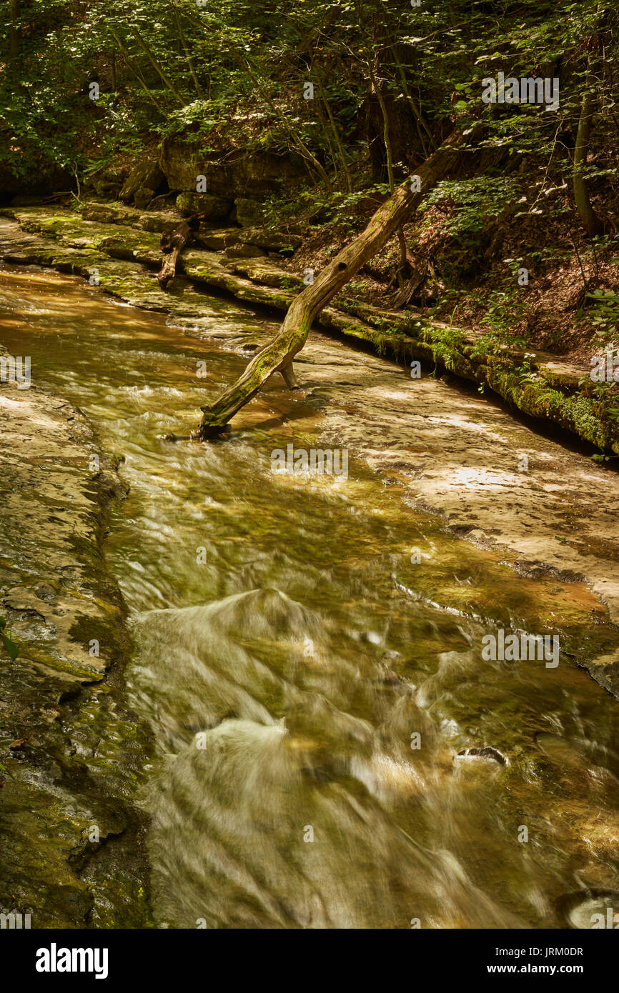 Slippery Rock Creek, McConnell's Mill State Park, Pennsylvania, USA
