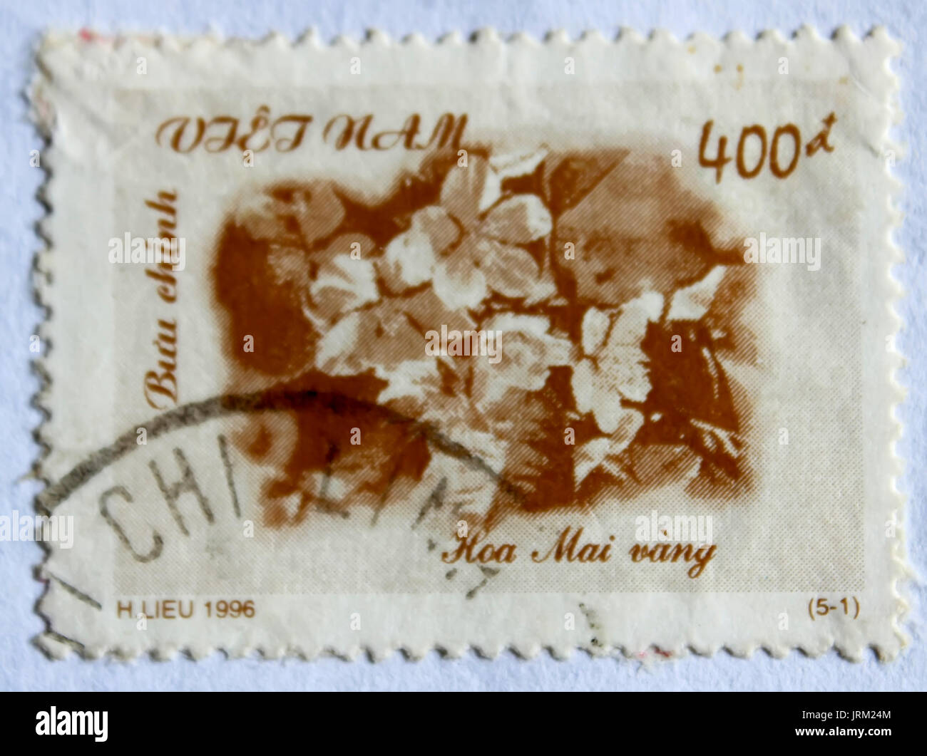 VIETNAM - CIRCA 1996: A stamp printed in Vietnam shows Yellow apricot flowers, circa 1996 Stock Photo