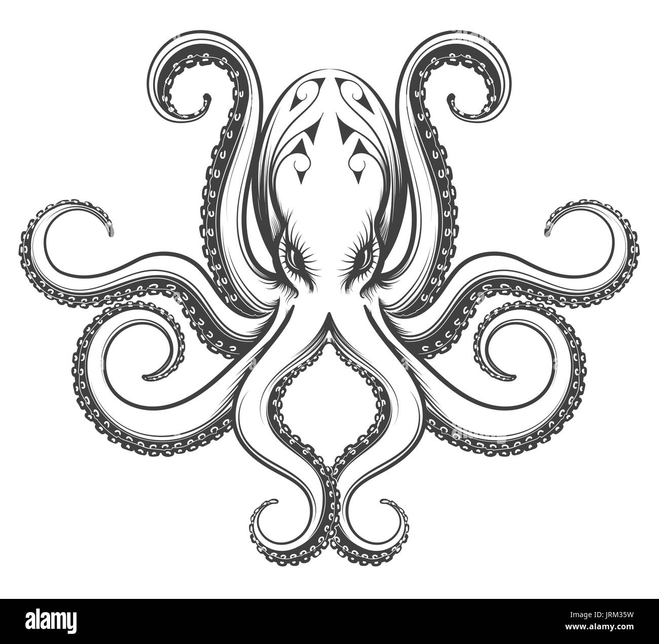 Octopus drawn in engraving vintage style. Vector illustration isolated on white background. Stock Vector