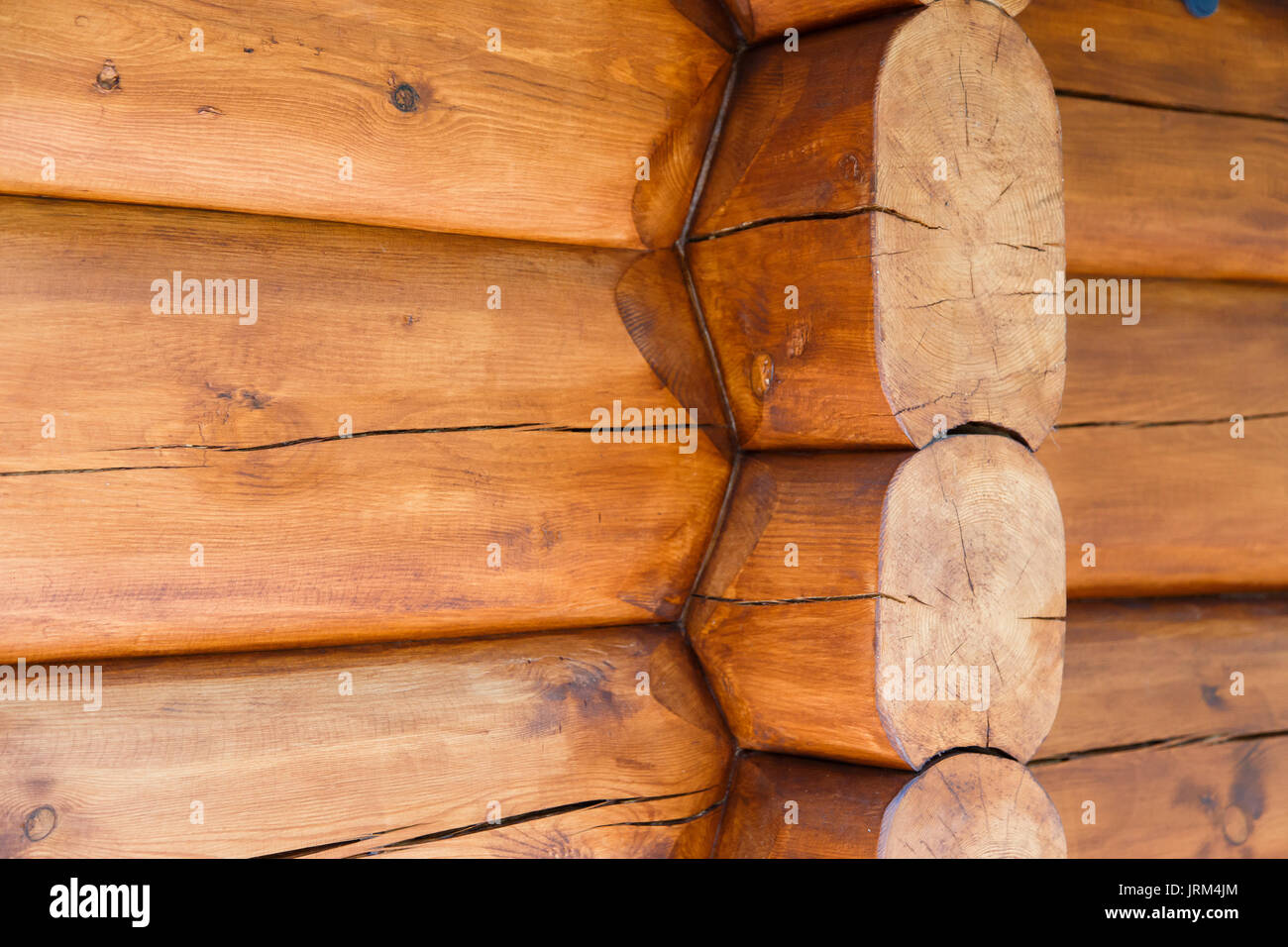 Details of cabin corner joint with round off logs. Canadian or