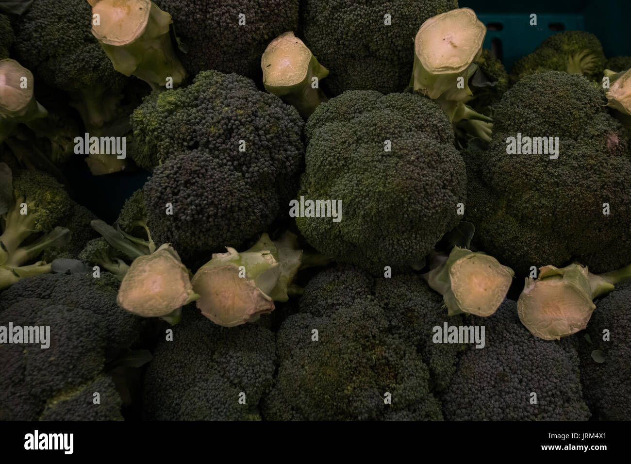 Broccoli is an edible green plant in the cabbage family whose large