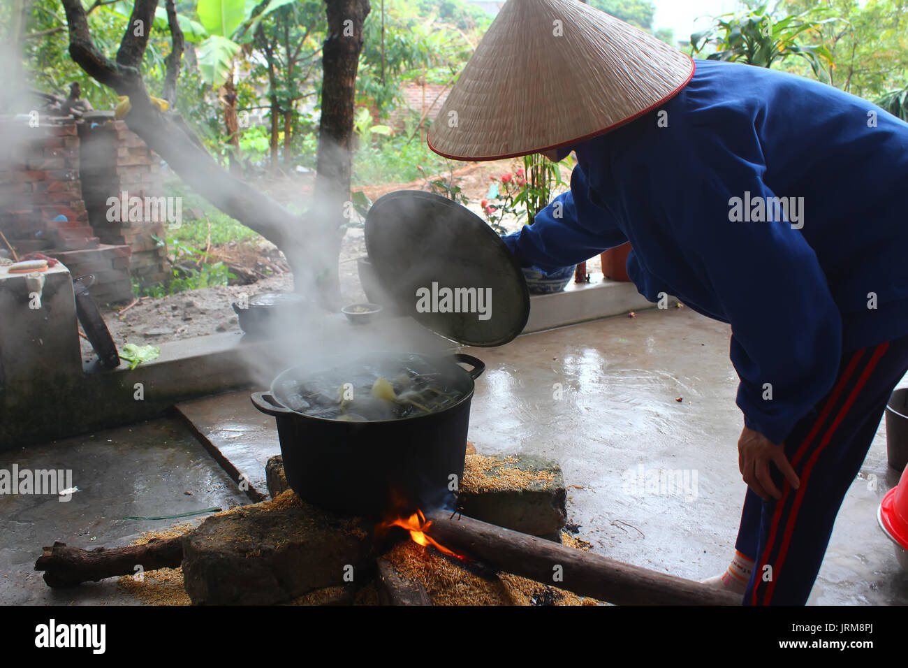 woman make spring rolls Stock Photo - Alamy