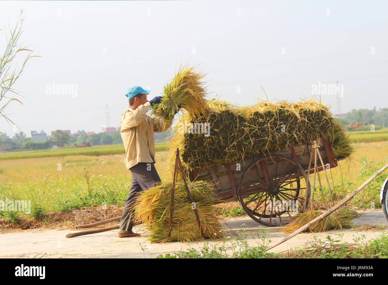 objects, spiritual items, countryside, Hai Duong, Vietnam Stock Photo -  Alamy
