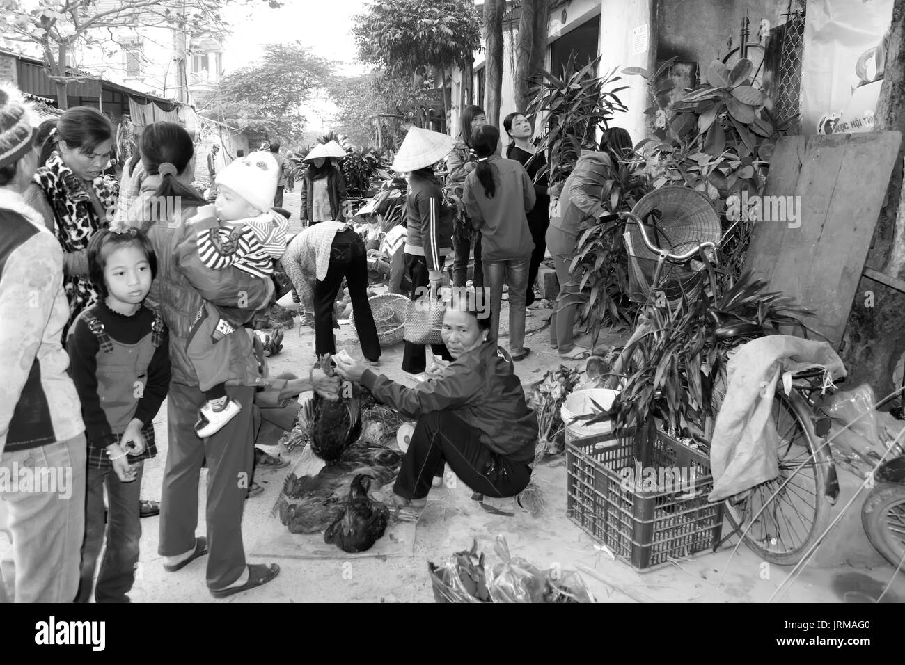 HAI DUONG, VIETNAM, APRIL, 10: Asian woman selling chickens in the market on April, 10  in Hai Duong, Vietnam. Stock Photo