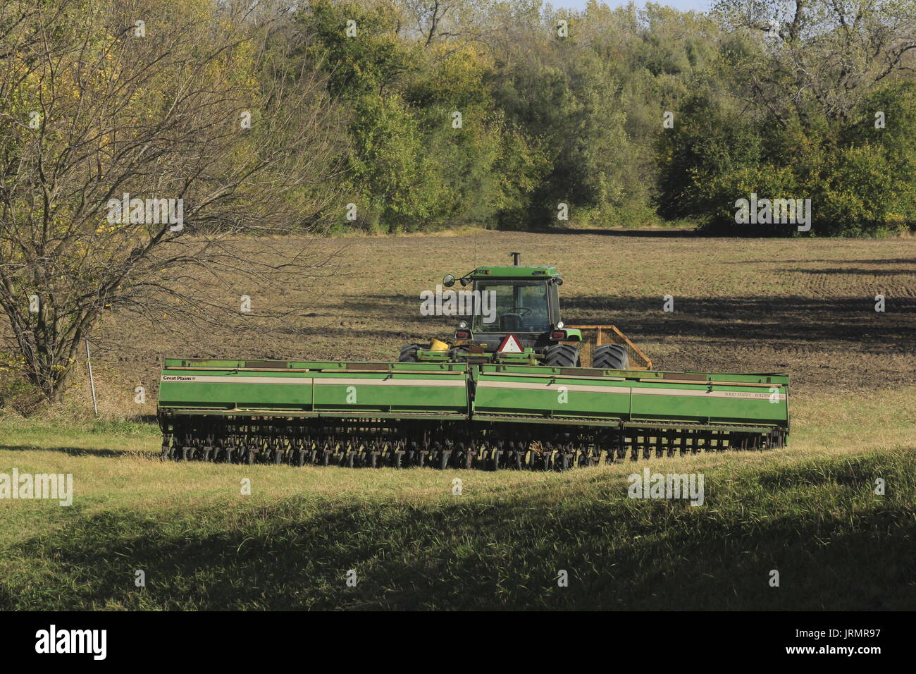 planting yarrow seeds Red Yarrow Seeds For Planting (Achillea millefolium rubra) Seed Needs – Seed  Needs LLC main image 0