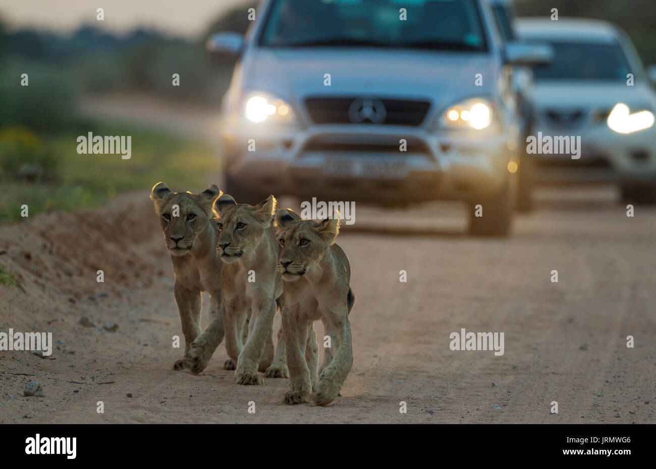 Boyseveral hires stock photography and images Alamy