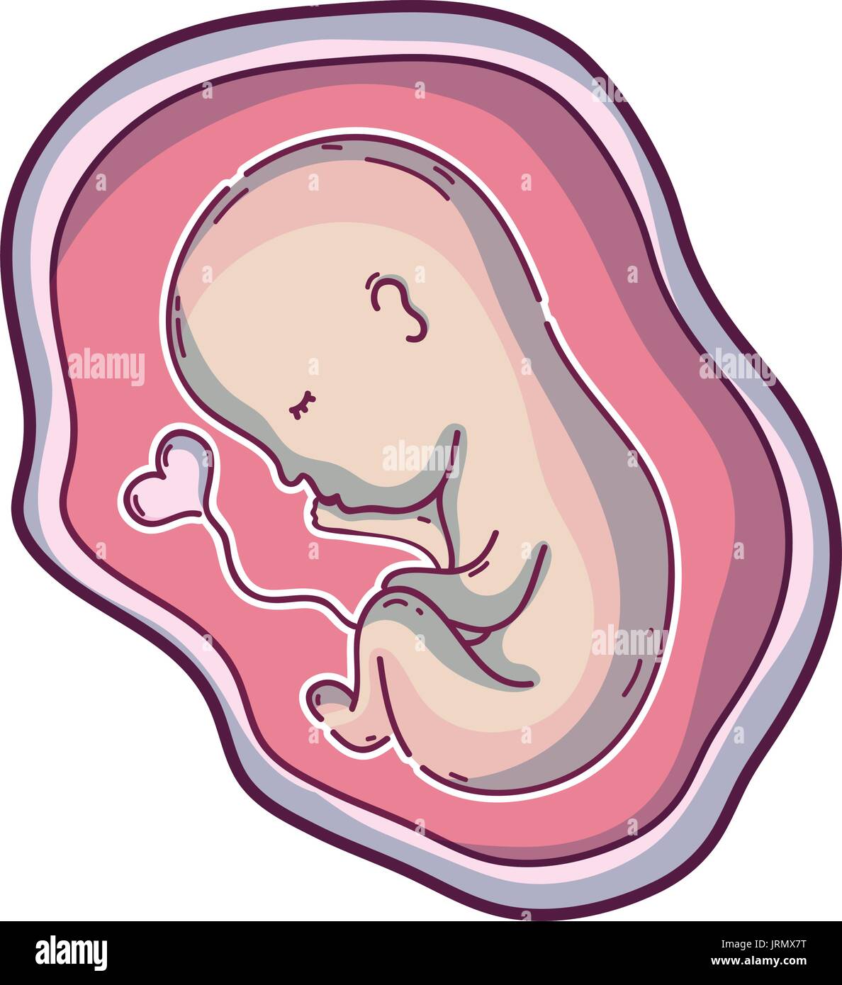 Embryo Baby Uterus Stock Photos & Embryo Baby Uterus Stock Images Alamy