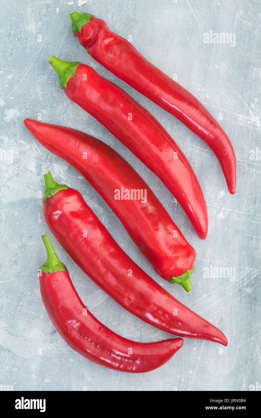 Top view of fresh red hot chili peppers on a blue textural background ...