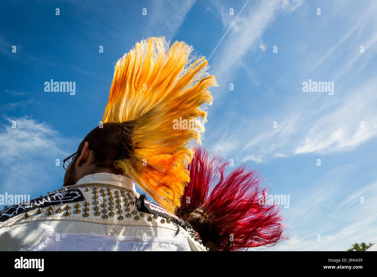 Music fans with brightly colored mohawk haircuts at Riotfest, an outdoor music festival in Chicago, Illinois. Stock Photo