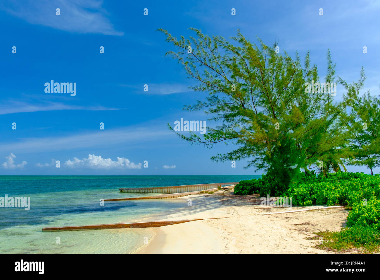 Starfish Point Beach in the Caribbean, Grand Cayman, Cayman Islands