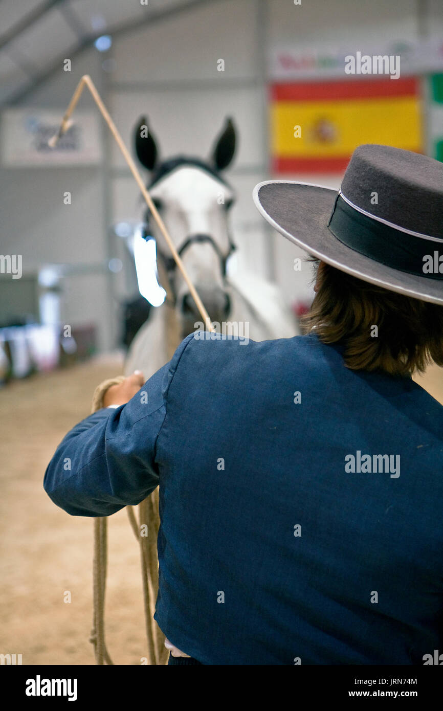 Equestrian test of morphology to pure Spanish horses, Spain Stock Photo