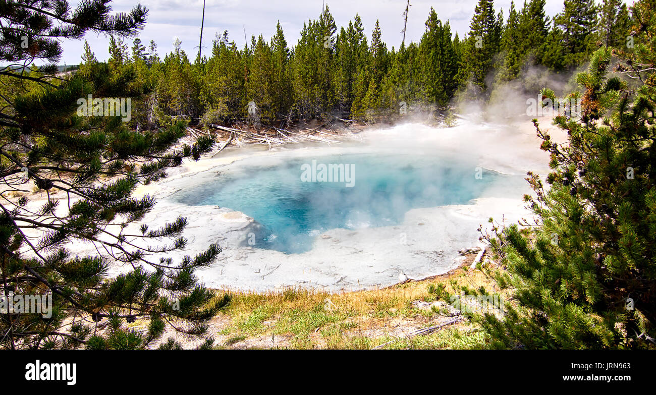 Yellowstone Norris And Porcelain Basin Stock Photo - Alamy