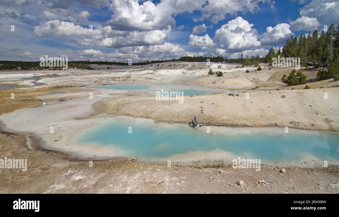 Yellowstone Norris and Porcelain Basin Stock Photo