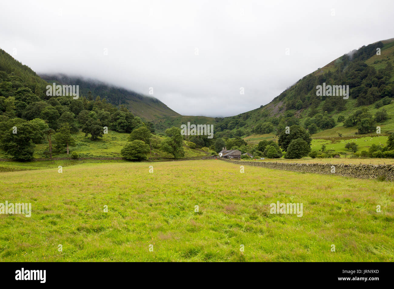 View across a Field of a Farm House in the Lake District Mountains next to Ullswater Stock Photo