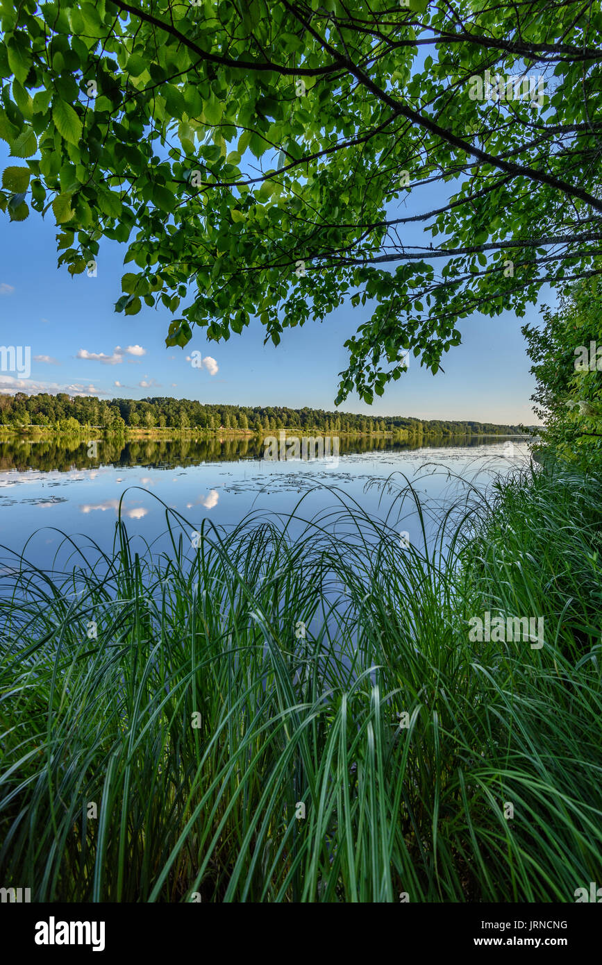 reflection of clouds in the lake with forest and trees in background ...