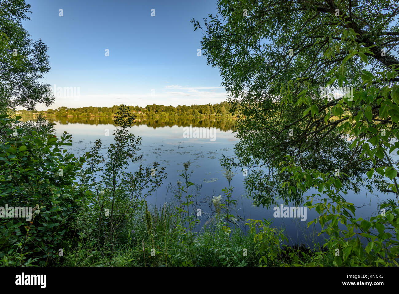 reflection of clouds in the lake with forest and trees in background ...