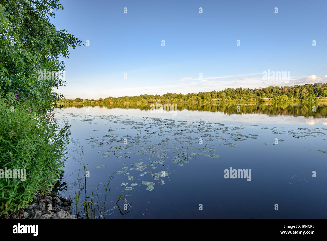 reflection of clouds in the lake with forest and trees in background ...