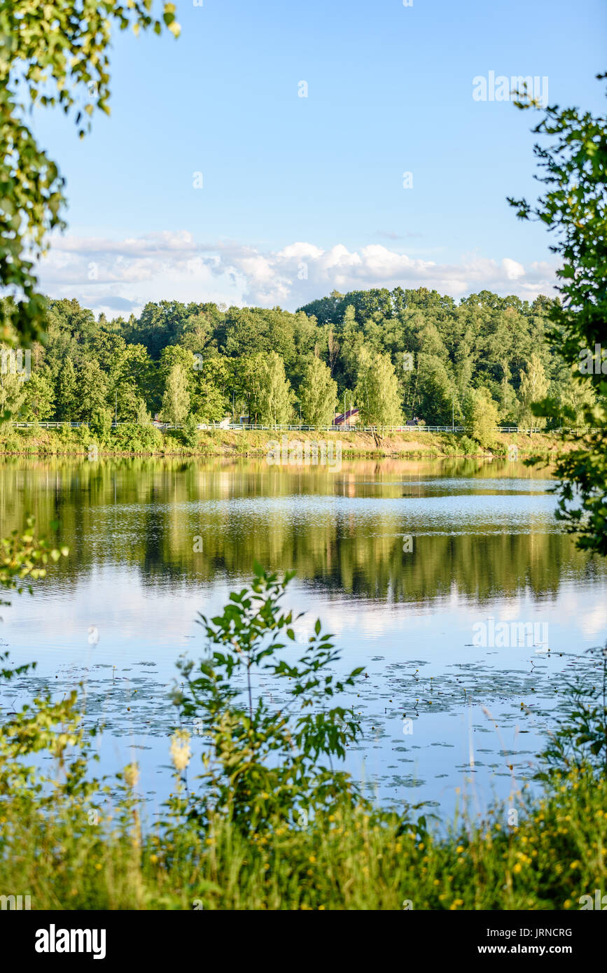 reflection of clouds in the lake with forest and trees in background ...
