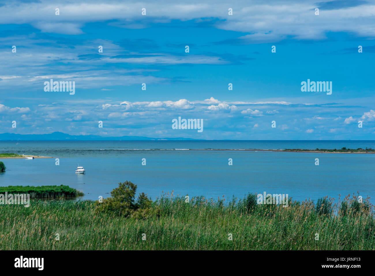 The river Ebro close to it's mouth in the Ebro delta Stock Photo Alamy