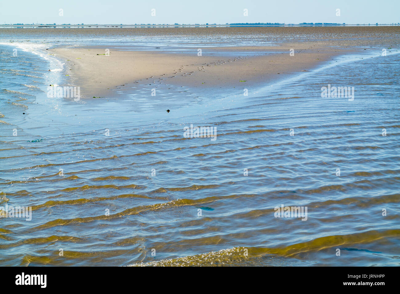 Panorama of mud and sand flats, mirage and rippling shallow water at low tide on Waddensea, Netherlands Stock Photo