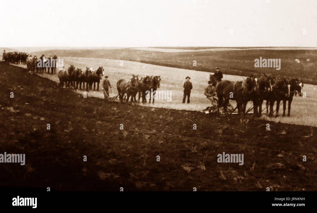 Ploughing on the Canadian Prairies,  early 1900s Stock Photo