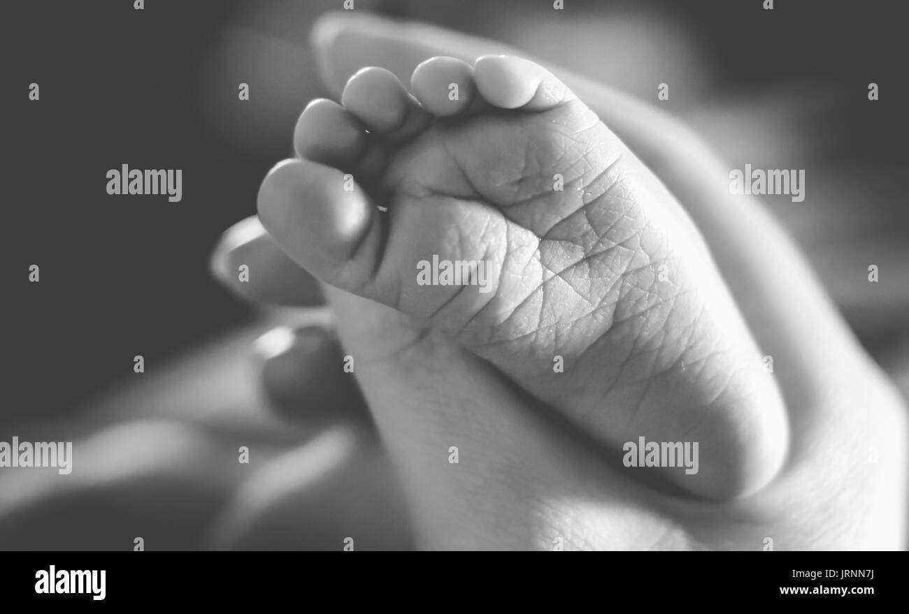 Adult woman holding baby's foot Stock Photo