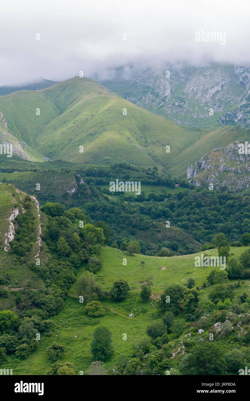 Paisaje montañoso. Picos de Europa. Asturias. España. Stock Photo