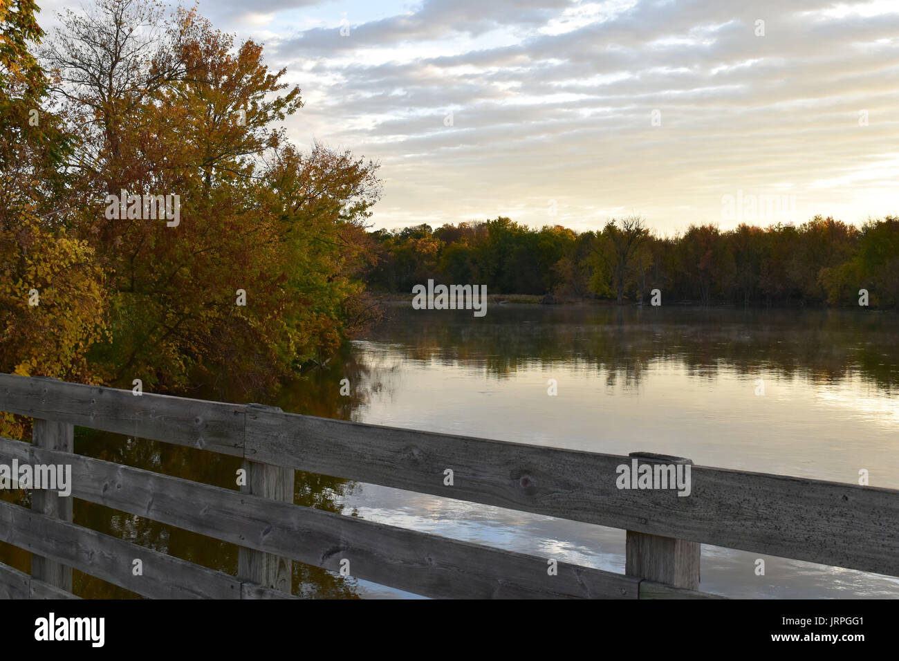 Trees reflected in water at sunrise Stock Photo - Alamy