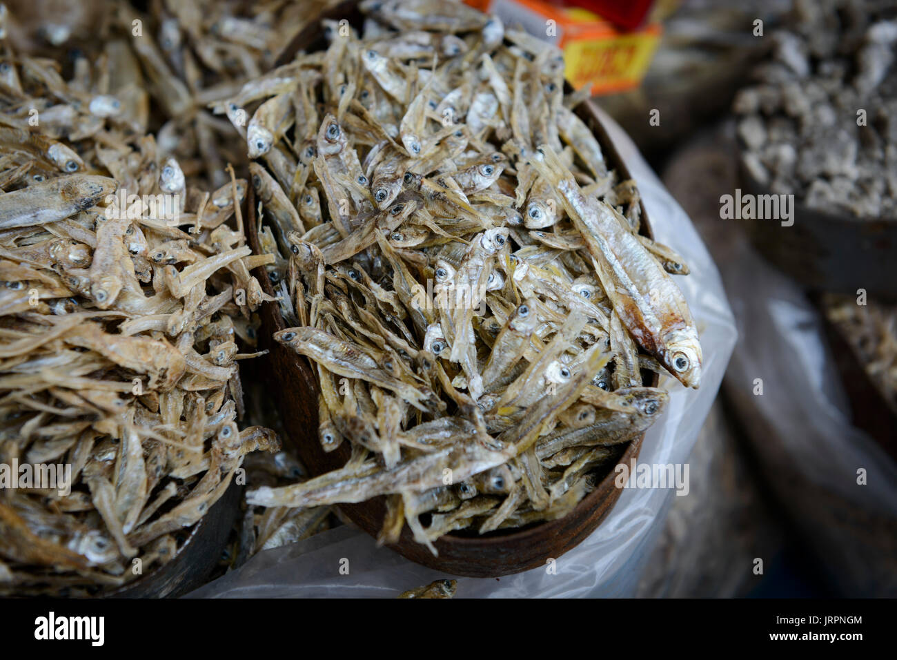 Dried Fish Philippine Supplier, 41 OFF