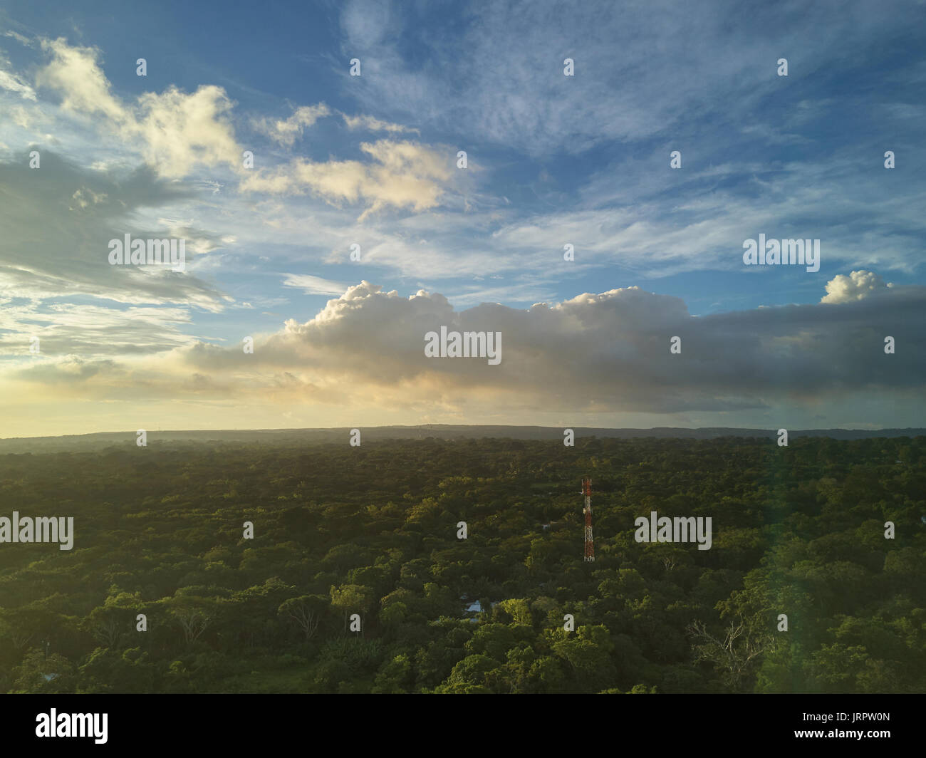 Sunset over green forest aerial view. Radio antenna on natural landscape background Stock Photo