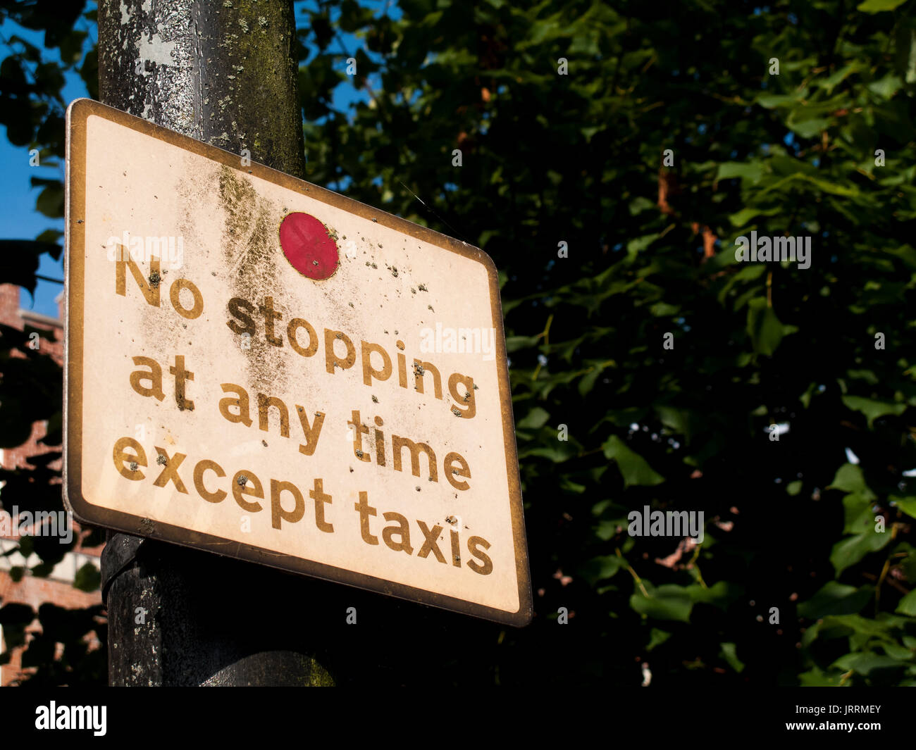 No stopping at any time except taxis roadside sign mounted on lamppost, covered by UK road traffic regulation act 1984 Stock Photo