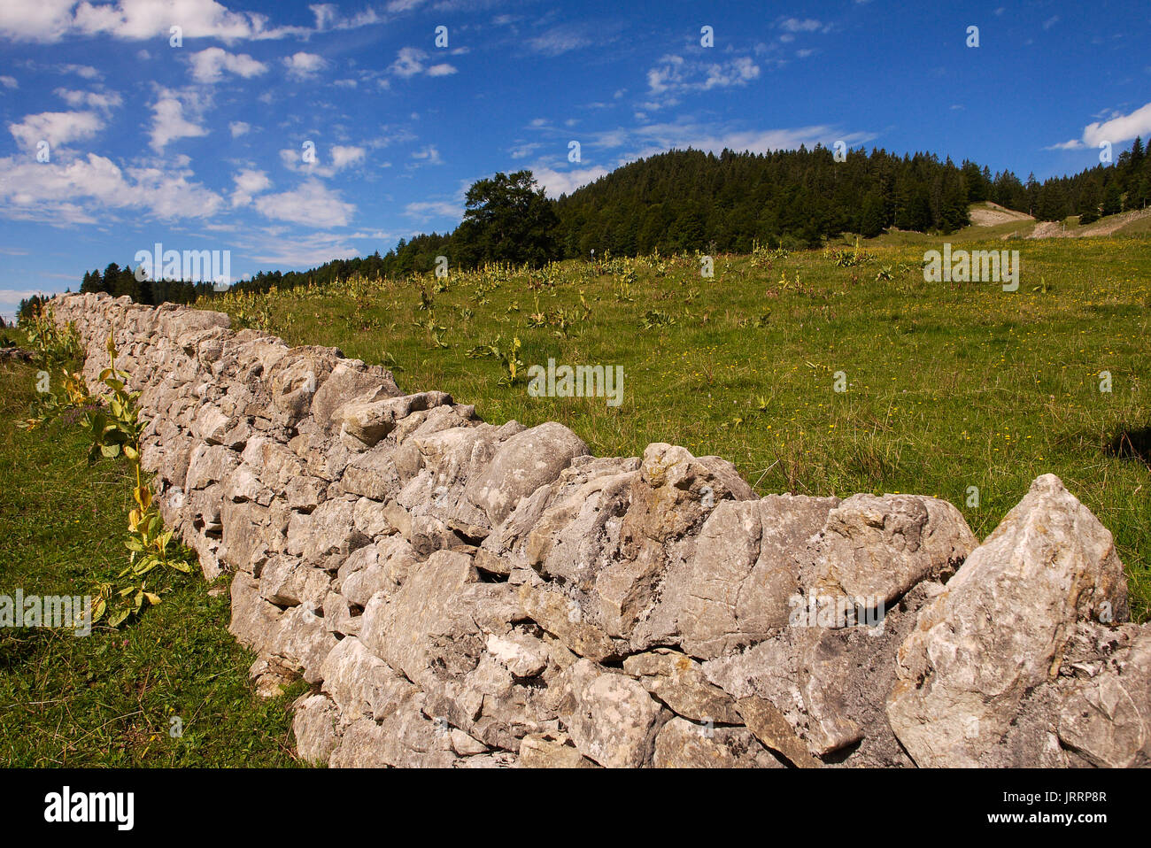 Jura Mountains landscape, Les Rousses, La Dôle mountain, Franche-Comté, Jura, (France) Stock Photo