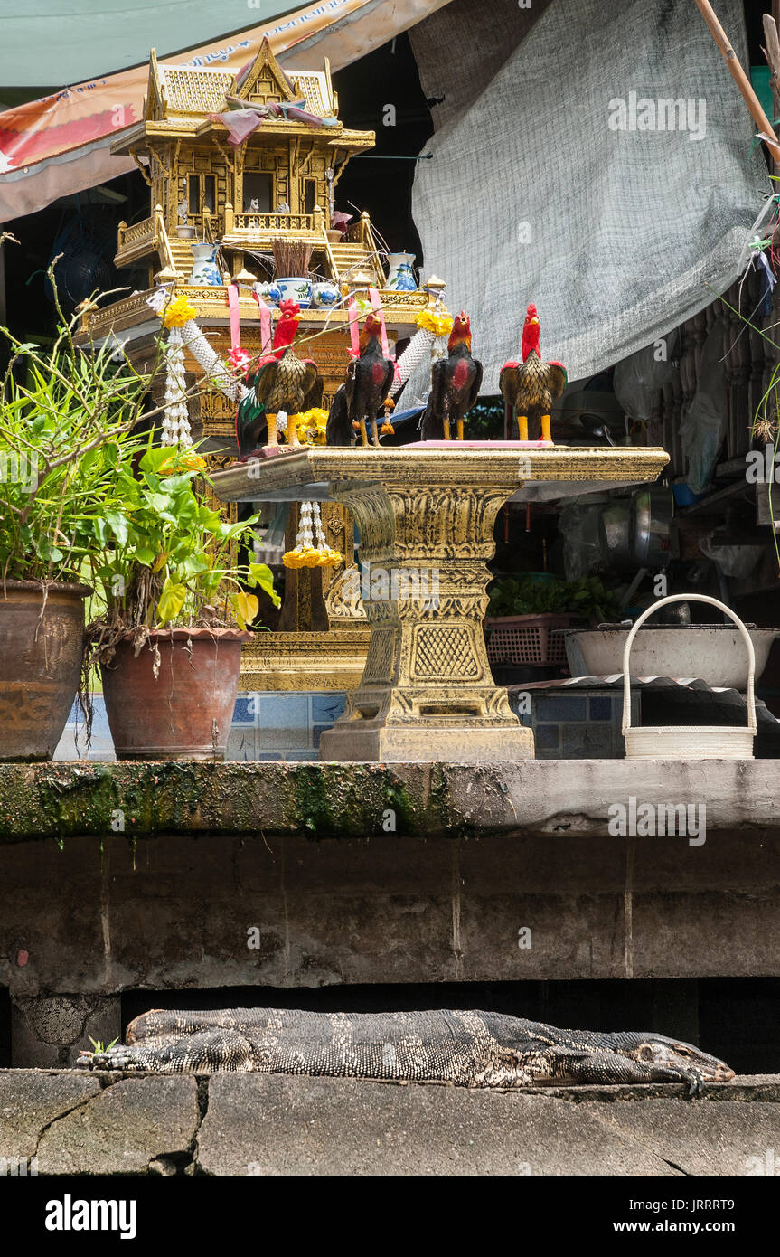 A water monitor resting on the steps next to a shrine at the entrance to a  waterside house on the Khlongs in Thonburi, Bangkok, Thailand Stock Photo