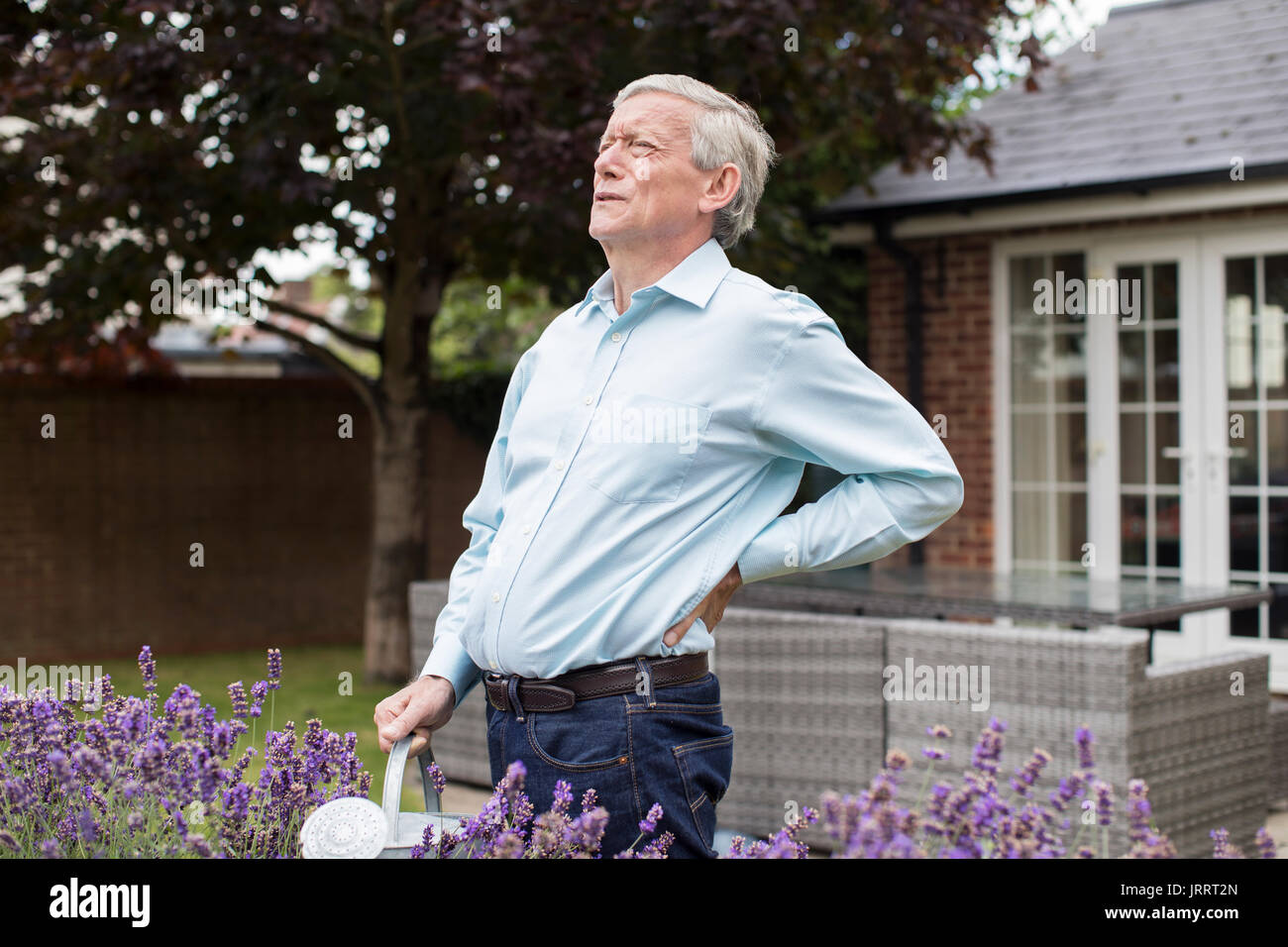 Mature Man Suffering From Backache Whilst Gardening At Home Stock Photo
