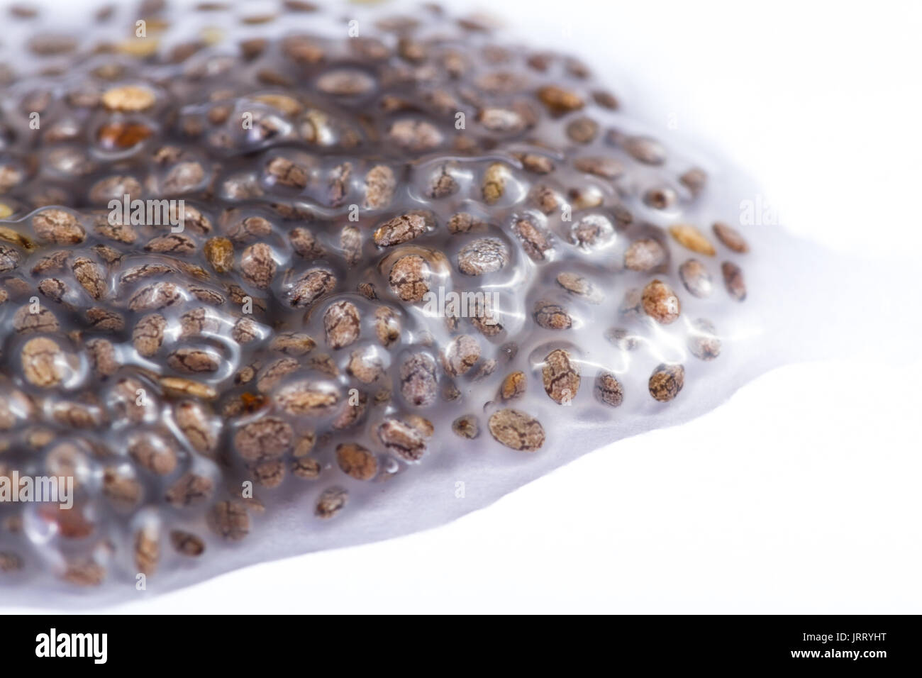 water soaked chia seeds isolated on a white background Stock Photo Alamy
